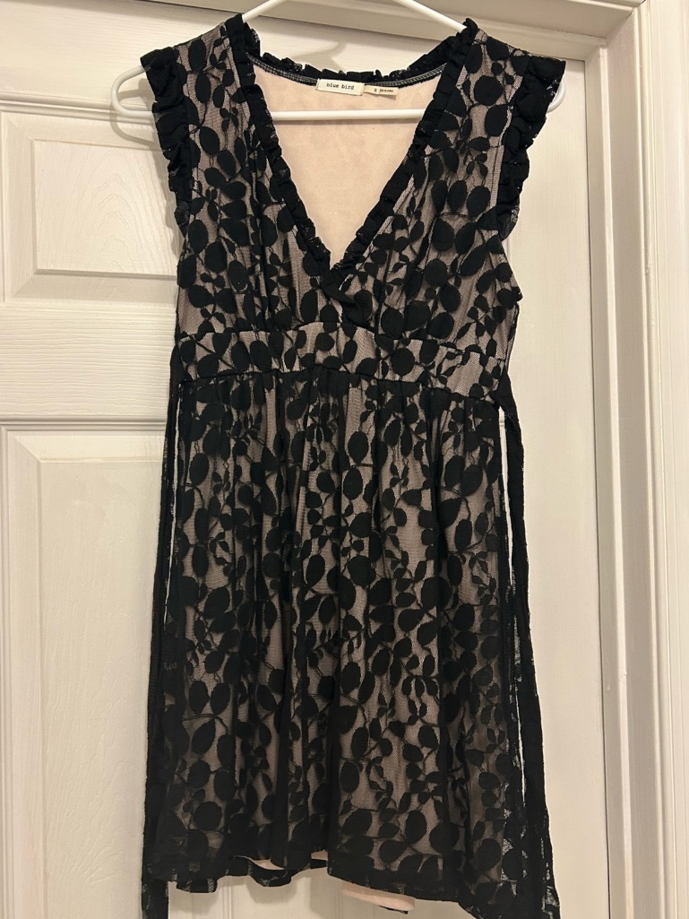 Blue Bird Black Lace V-Neck Overlay Dress